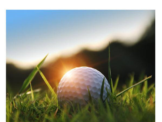 Blind Test of our Premium Refinished Golf Balls - ReNew Golf Balls