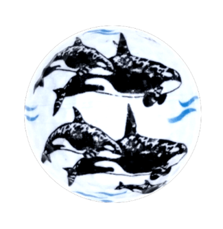 New Novelty Orca Whales Golf Balls - ReNew Golf Balls
