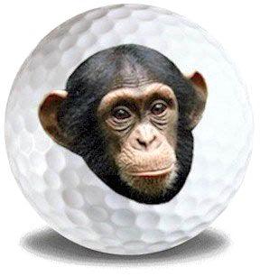 New Novelty Chimpanzee Golf Balls - ReNew Golf Balls