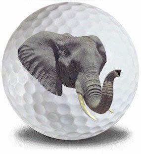 New Novelty Elephant Golf Balls - ReNew Golf Balls