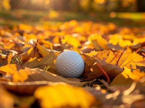 Why Choose Refurbished Golf Balls - ReNew Golf Balls