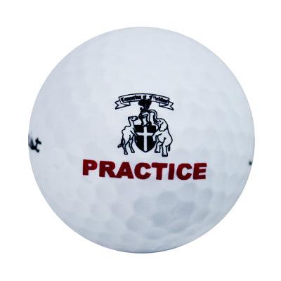 Titleist NXT Tour Inverness Logo Overrun Pristine Golf Balls - 1 dozen - ReNew Golf Balls